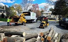 Best Tree and Shrub Care  in Cheney, WA