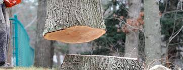 Best Tree Trimming and Pruning  in Cheney, WA