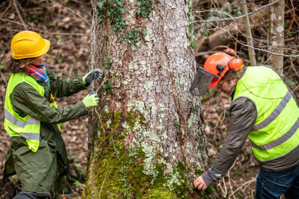 Best Hazardous Tree Removal  in Cheney, WA